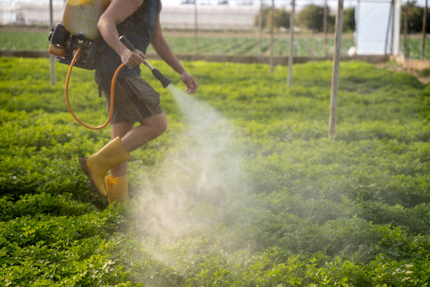 Best Mosquito Control Services  in Syosset, NY